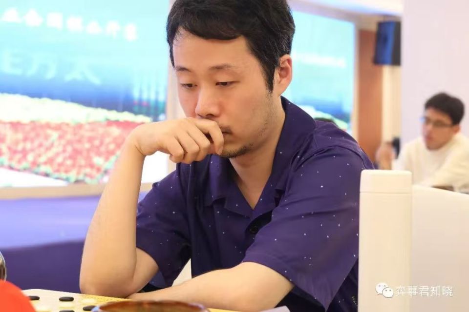 的赛事, 棋的热爱 的赛事, 棋的热爱
